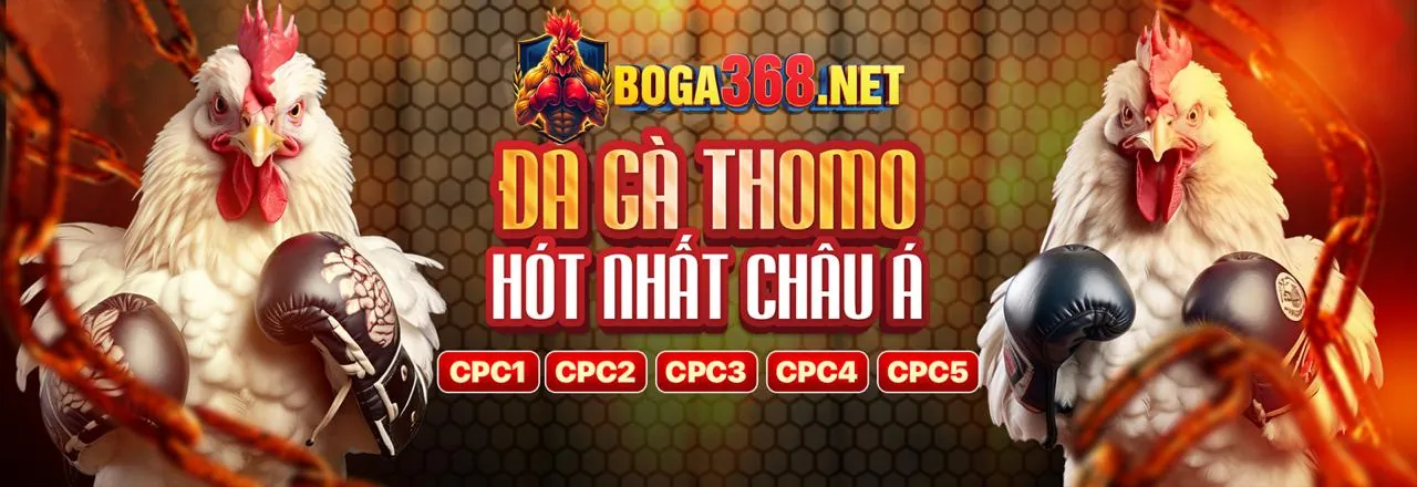 Hình ảnh sân vận động thể thao với các hoạt động cá cược trực tuyến Kclub